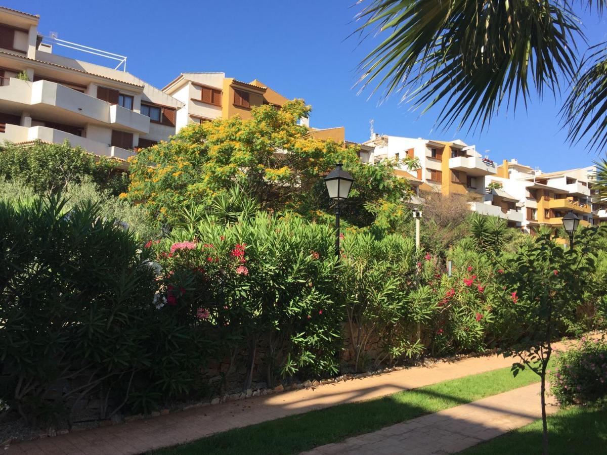 Torrevieja 200M From Sea Punta Prima Apartment Alicante Exterior photo