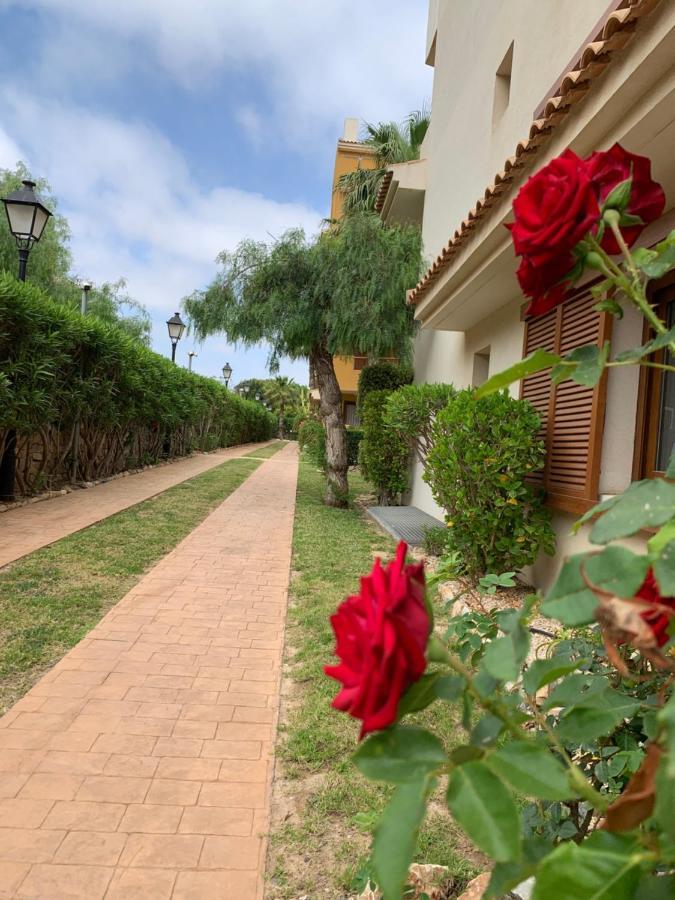 Torrevieja 200M From Sea Punta Prima Apartment Alicante Exterior photo
