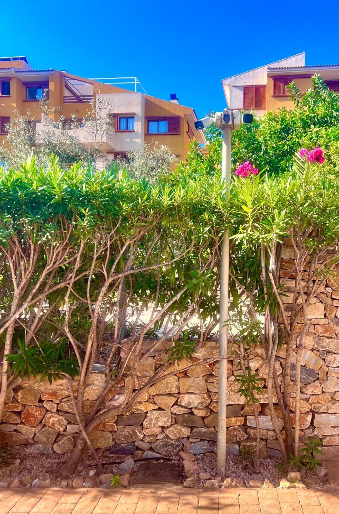 Torrevieja 200M From Sea Punta Prima Apartment Alicante Exterior photo